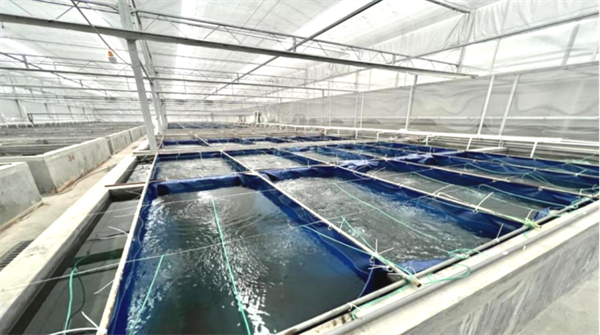 公司簡介及蘇滬1號介紹-修正版710